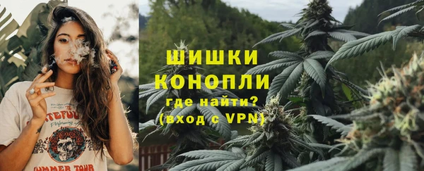 сатива Абаза