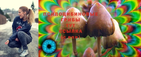 МДМА Медногорск